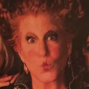 Meet your Posher, Ginger